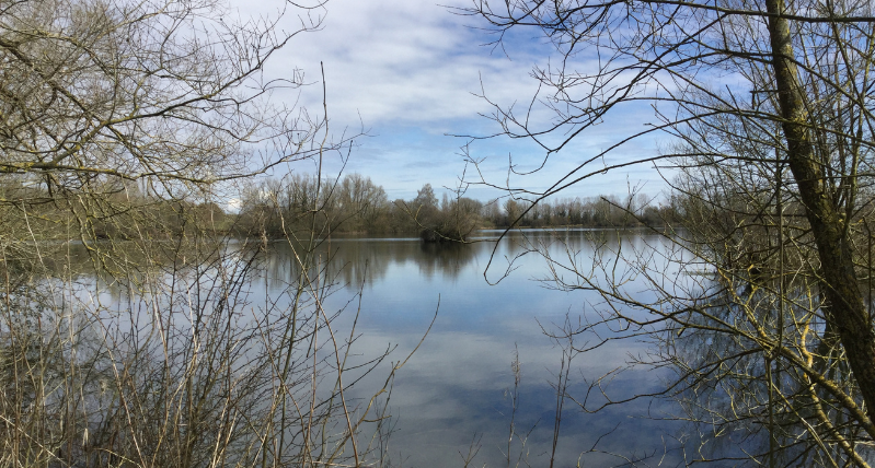 Lake at Lower Moor Wiltshire Wildlife Trust